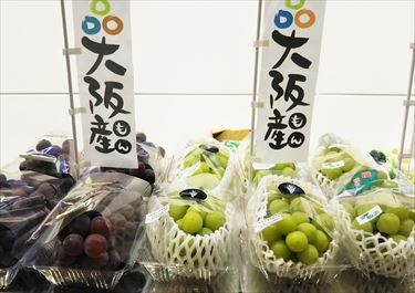 関空で農産物販売2