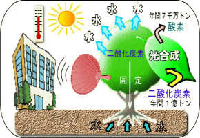 画像です。空気を安全に守る働き