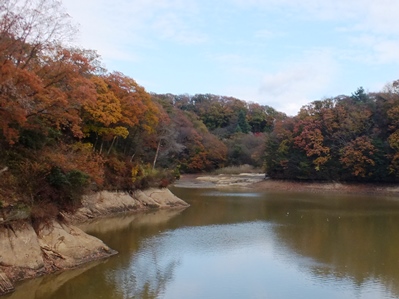 白旗池の紅葉