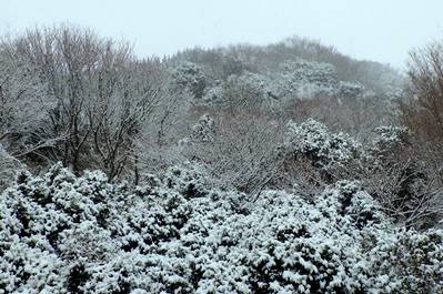 みずのみ園地の雪景色