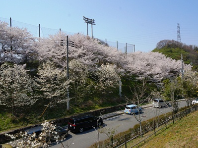 画像です。緑の文化園2