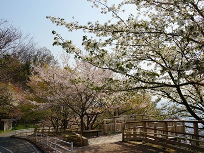 らくらく登山道