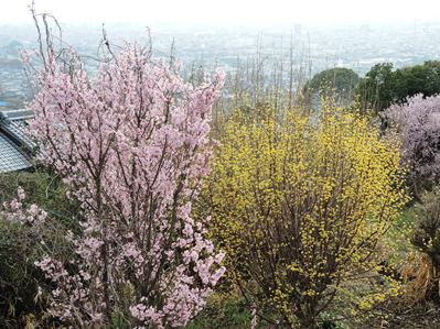 神立地区からは大阪平野が見える