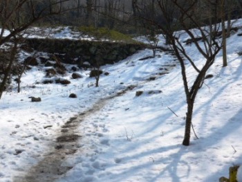 くさか園地こぶしの谷は雪の中