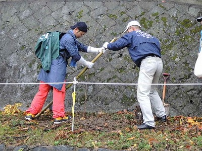 ヤマザクラの植樹