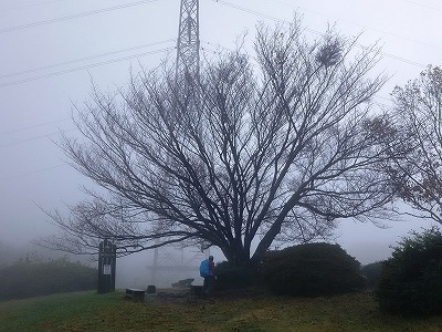 ぼくらの広場は雲の中