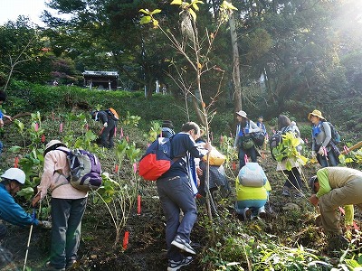 植樹の様子