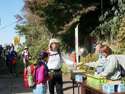 お～いお茶再配布