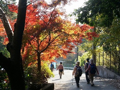 恩智神社へ下山