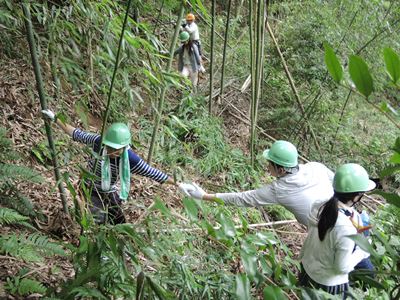 作業終了。帰りも足元に気を付けて。