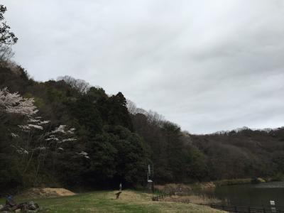 活動対象地の全景写真