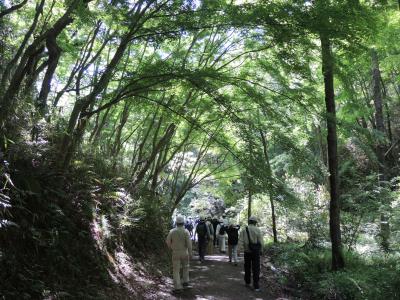 作業場所への移動の様子