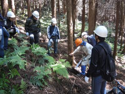 間伐作業の様子1