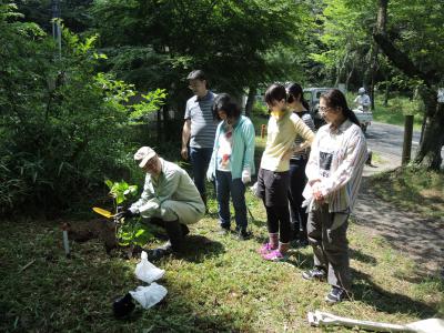 植栽作業の様子1