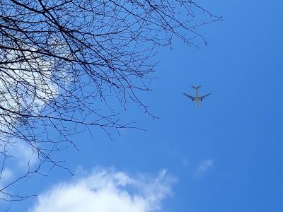 晴天の上空を飛行機が通過している画像