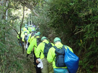 植栽地への移動の様子