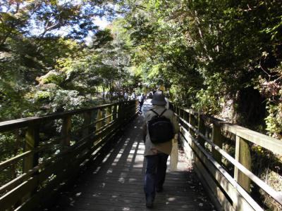 府民の森ほしだ園地の森林鉄道風歩道橋での様子