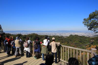 市街地を一望する展望台の様子