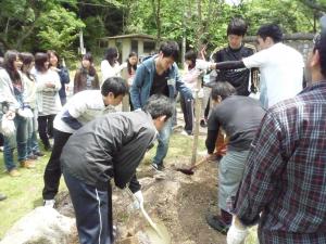 ヤマザクラを植えている様子