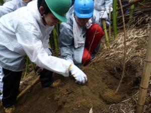 植えつけをしている様子