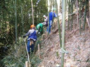 切断した竹の棚積み作業の様子