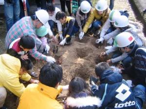 ミツバツツジを植樹している様子