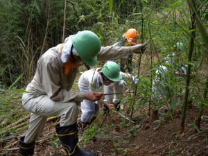 斜面での作業の様子