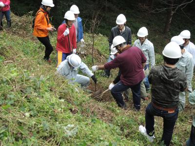 苗木植栽作業の様子