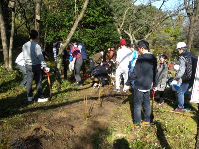 苗木の植栽作業の写真