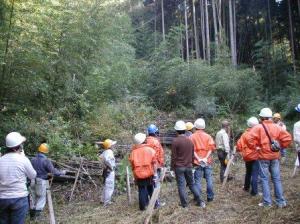 若竹の成長に驚く参加者