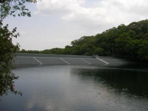 星田新池（整備後）