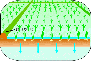 水をためる