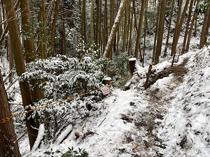 路肩崩落注意場所写真