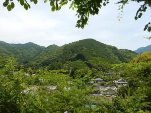 ベンチからの眺望