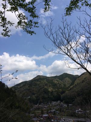 山腹からの景色