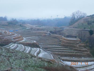 雪化粧をした棚田1