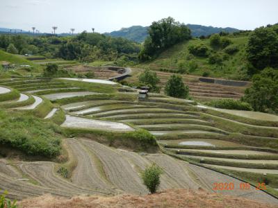 5月水のはられた棚田