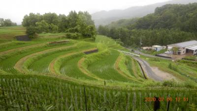 7月の棚田