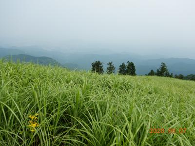 岩湧山山頂より