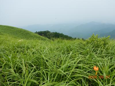 岩湧山山頂より別角度