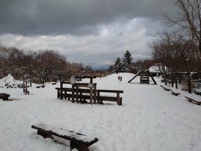 ちはや園地広場