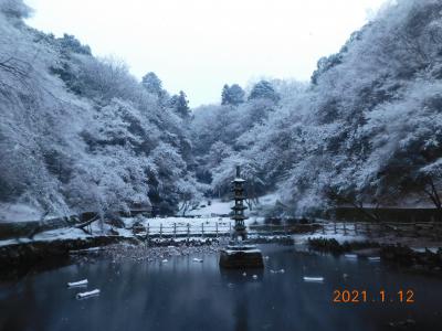 延命寺の蓮池2