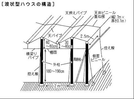 波状型ハウスの構造