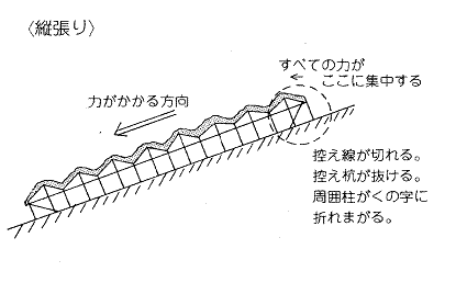 画像です。降雪時のビニールハウスへの力のかかり方(縦張りの場合）