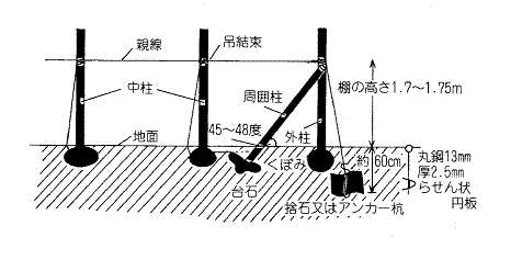 画像です。ぶどうハウスの補強対策1