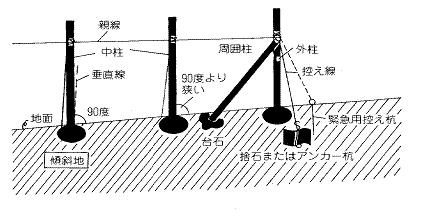 画像です。ぶどうハウスの補強対策2