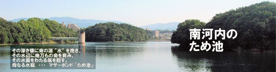 寺ヶ池（河内長野市）