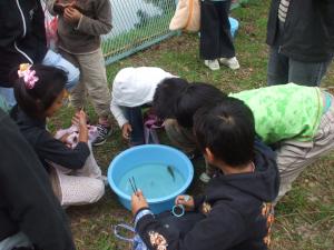 いきもの調査状況