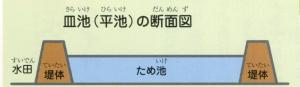 皿池（平地）の断面図