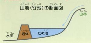 山池（谷地）の断面図